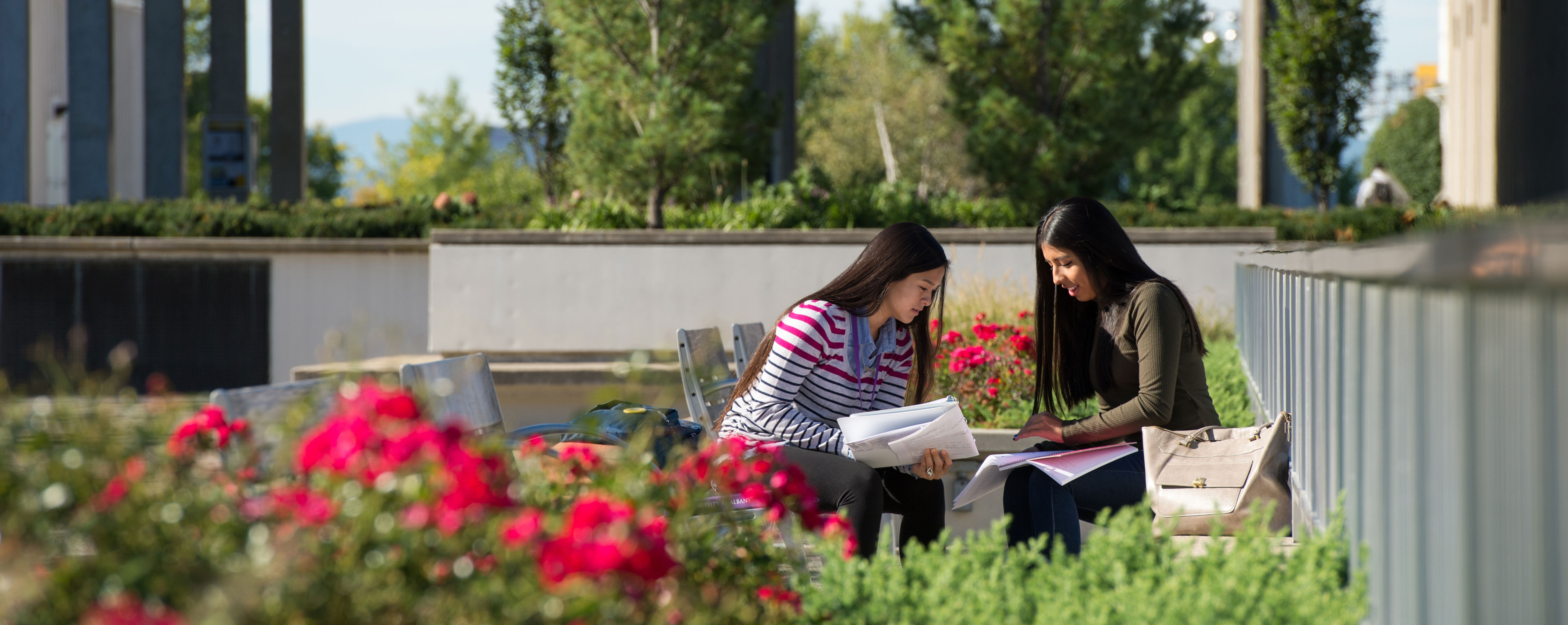 Two students looking over notebooks sit on outdoor benches surrounded by flowers 